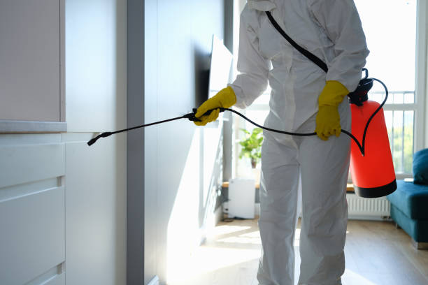 Lake St Croix Beach, MN Mold Removal Company
